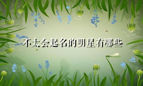 不太会起名的明星有哪些