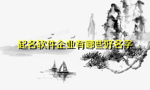 起名软件企业有哪些好名字