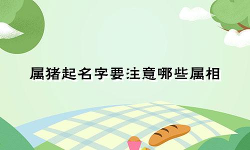 属猪起名字要注意哪些属相