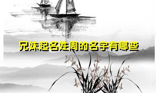 兄妹起名姓周的名字有哪些