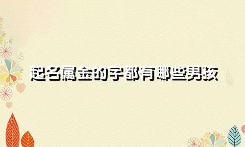 起名属金的字都有哪些男孩