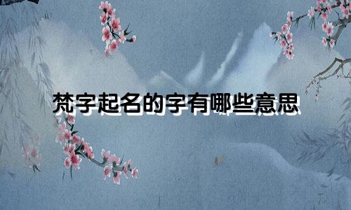 梵字起名的字有哪些意思