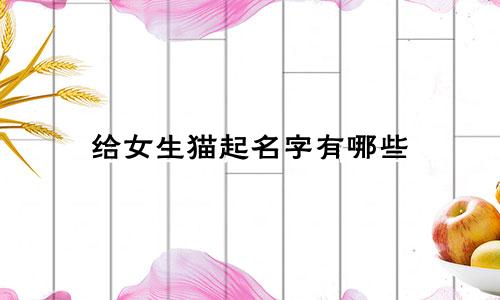 给女生猫起名字有哪些