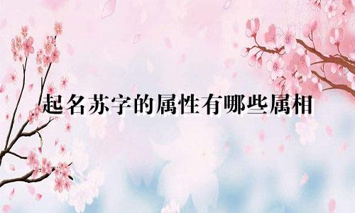 起名苏字的属性有哪些属相