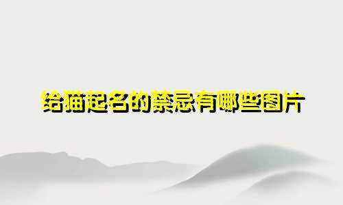 给猫起名的禁忌有哪些图片