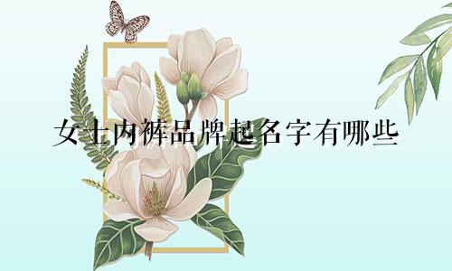 女士内裤品牌起名字有哪些