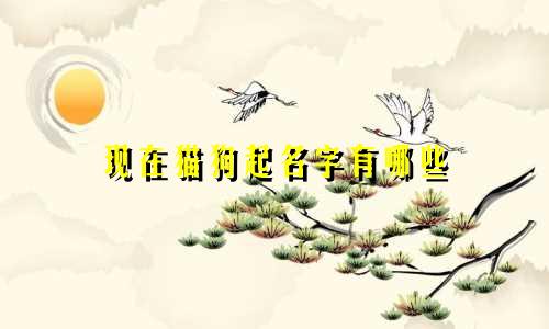 现在猫狗起名字有哪些