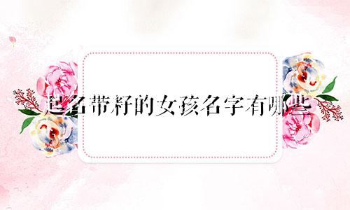 起名带籽的女孩名字有哪些