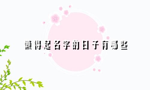 懒得起名字的日子有哪些