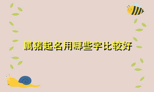 属猪起名用哪些字比较好