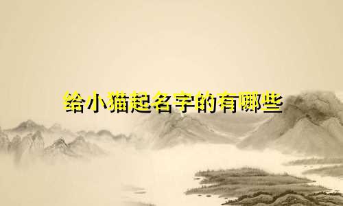 给小猫起名字的有哪些
