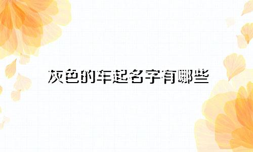 灰色的车起名字有哪些