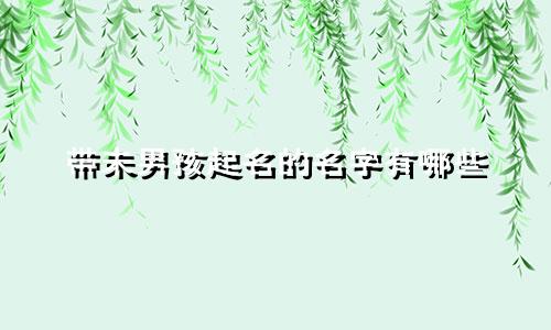 带未男孩起名的名字有哪些