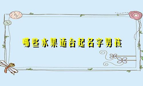 哪些水果适合起名字男孩