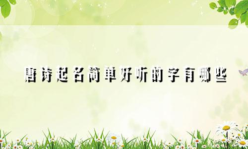 唐诗起名简单好听的字有哪些