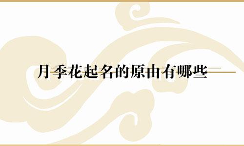 月季花起名的原由有哪些