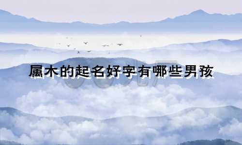 属木的起名好字有哪些男孩