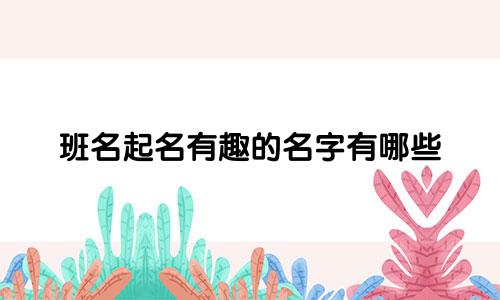 班名起名有趣的名字有哪些