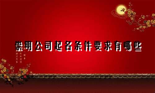 崇明公司起名条件要求有哪些