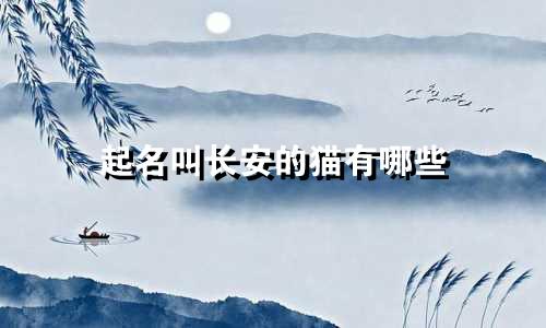起名叫长安的猫有哪些