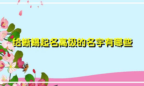 给蜥蜴起名高级的名字有哪些