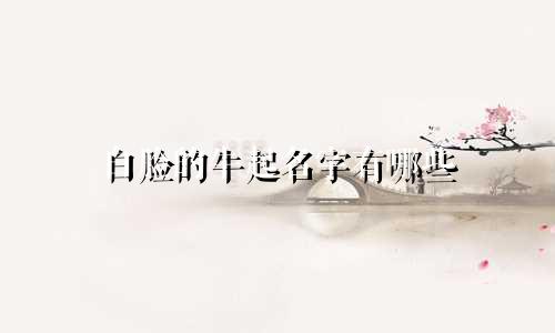 白脸的牛起名字有哪些