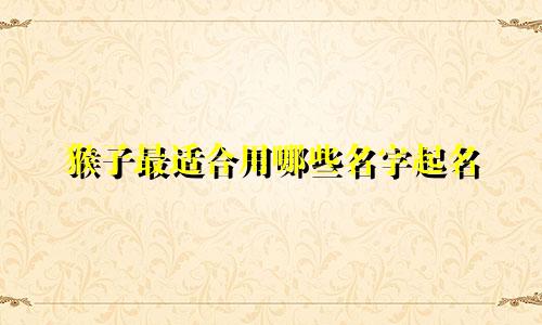 猴子最适合用哪些名字起名