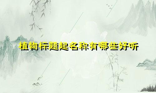 植物标题起名称有哪些好听