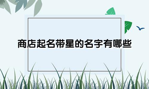 商店起名带星的名字有哪些