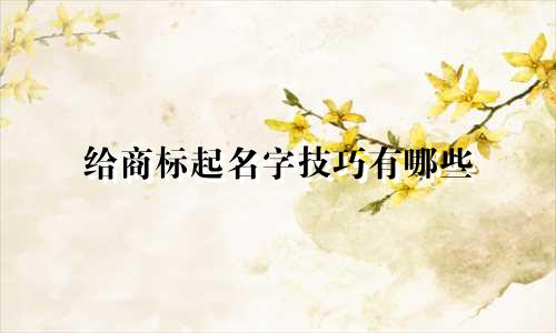 给商标起名字技巧有哪些