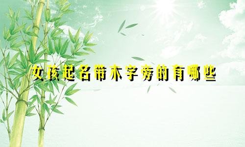 女孩起名带木字旁的有哪些