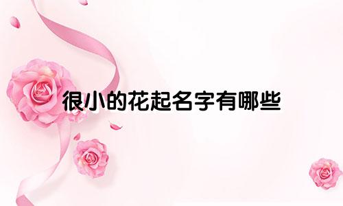 很小的花起名字有哪些
