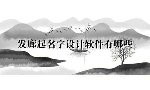发廊起名字设计软件有哪些