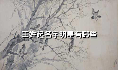 王姓起名字明星有哪些