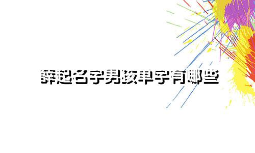 薛起名字男孩单字有哪些