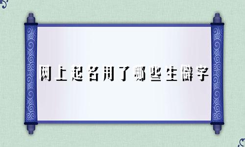 网上起名用了哪些生僻字