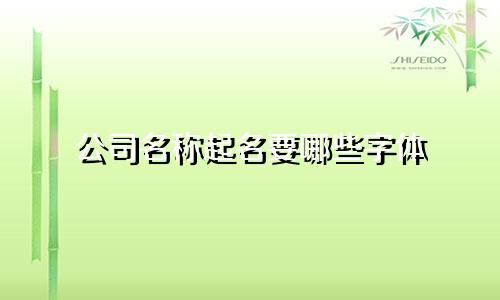 公司名称起名要哪些字体