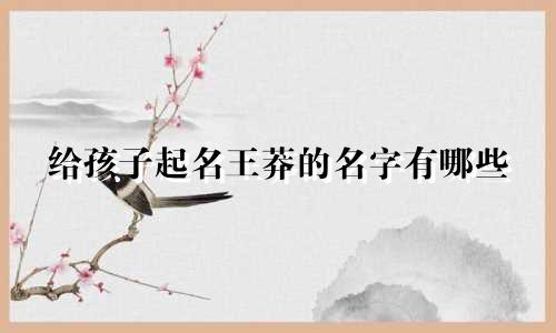 给孩子起名王莽的名字有哪些