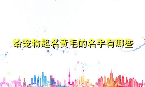 给宠物起名黄毛的名字有哪些