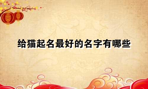 给猫起名最好的名字有哪些