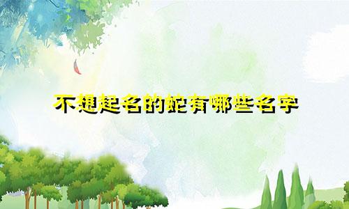 不想起名的蛇有哪些名字