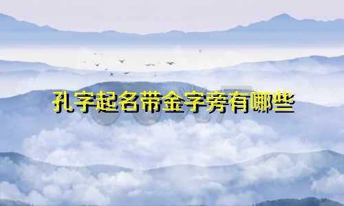 孔字起名带金字旁有哪些