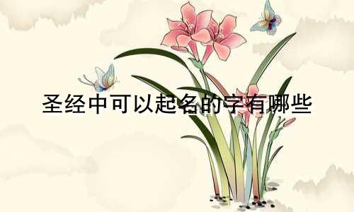 圣经中可以起名的字有哪些