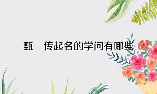 甄嬛传起名的学问有哪些