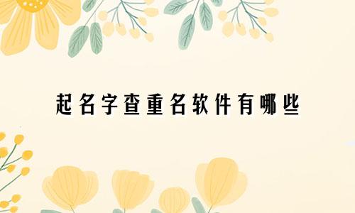起名字查重名软件有哪些