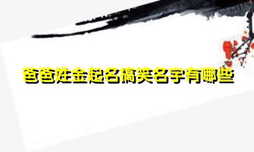爸爸姓金起名搞笑名字有哪些