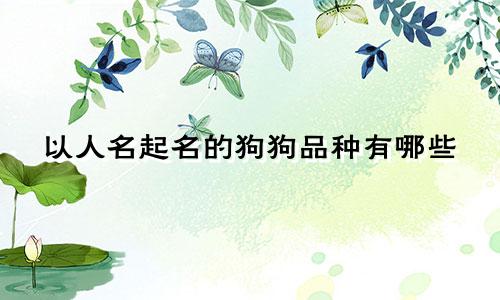以人名起名的狗狗品种有哪些