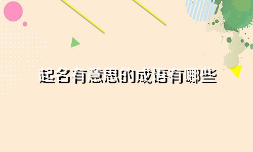 起名有意思的成语有哪些