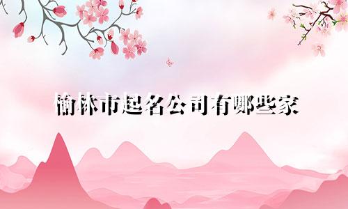 榆林市起名公司有哪些家