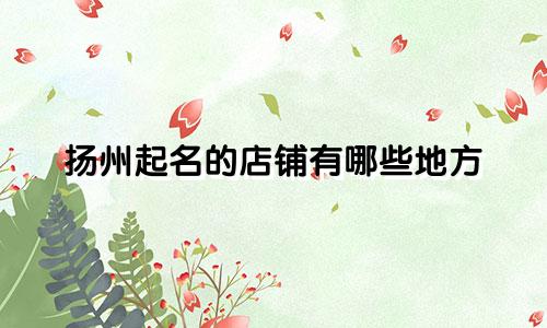 扬州起名的店铺有哪些地方